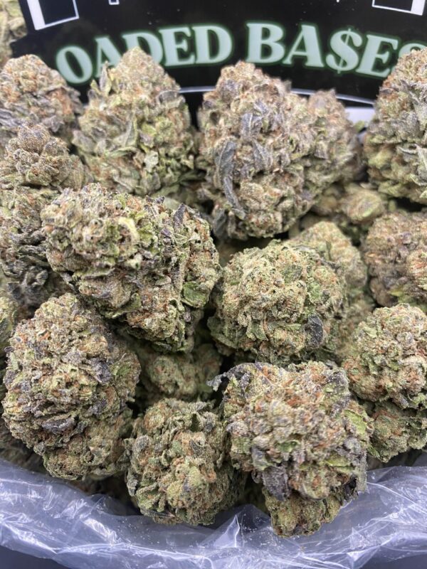 King Gumbo strain hybrid cannabis flower