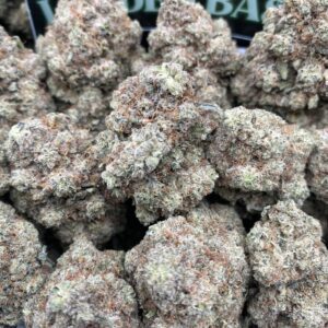 Krazy Glues strain hybrid cannabis flower