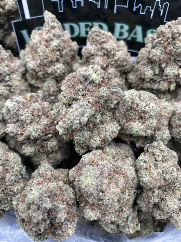 Krazy Glues strain hybrid cannabis flower