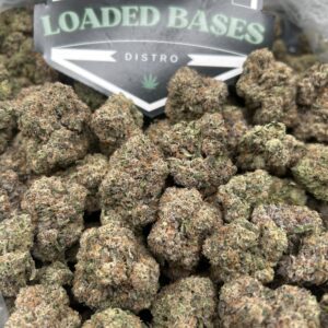 LCG 41 cannabis strain with frosty trichomes and vibrant orange hairs