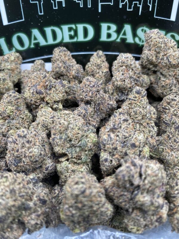 Lemon Cherry Gelato cannabis hybrid flower close-up