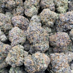 Lemon Cherry Gelato cannabis hybrid flower close-up