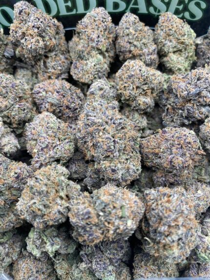 Lemon Cherry Gelato cannabis hybrid flower close-up
