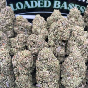 Lemon Cherry Gelato cannabis hybrid flower close-up