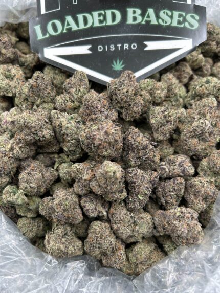Lemon Cherry Guava cannabis strain buds with fruity aroma and tropical flavors.