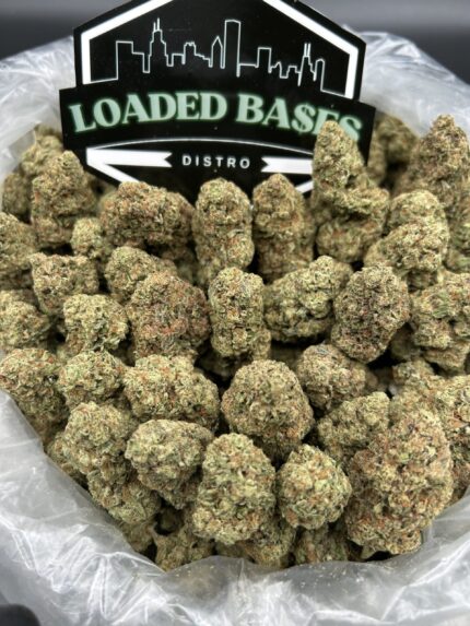 London Cookies hybrid cannabis flower with frosty trichomes and cookie-like aroma