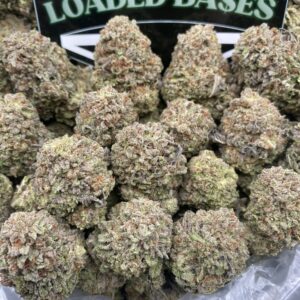 Oreo Milkshake cannabis flower with frosty trichomes and dense buds