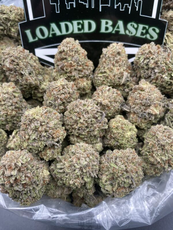 Oreo Milkshake cannabis flower with frosty trichomes and dense buds