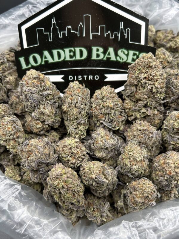 Oreo Truffles cannabis strain – sweet hybrid buds with creamy chocolate flavor