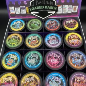 Close-up of Persy Snowballs Indoor Flower with frosty green buds