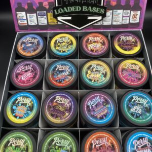 Close-up of Persy Snowballs Mini Indoor Flower with frosty green buds