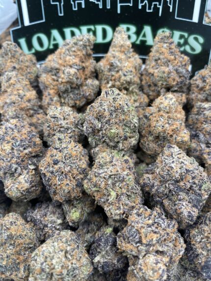 Purple Gas Tartz cannabis flower buds – premium THC flower with purple hues and frosty trichomes