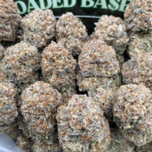 Purple Meteorite cannabis flower with frosty purple buds