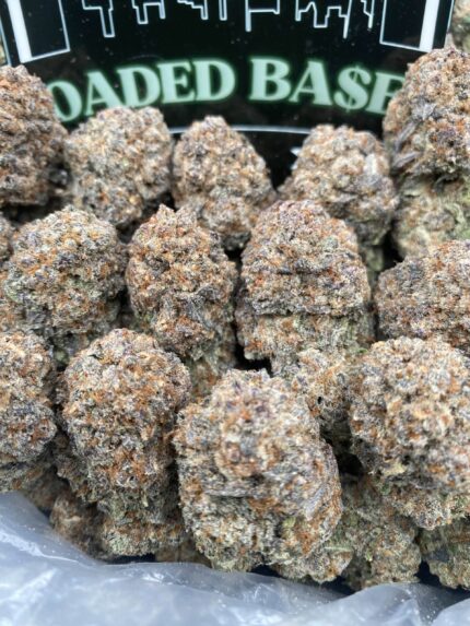 Purple Meteorite cannabis flower with frosty purple buds