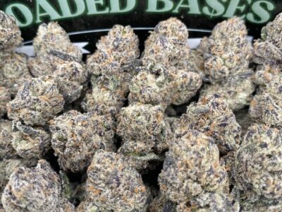 Rainbow Gelato cannabis flower with colorful buds