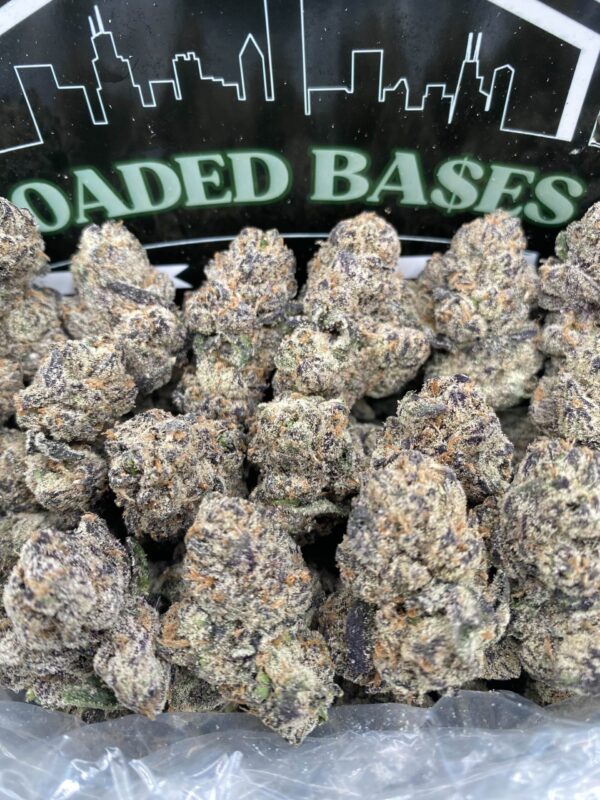 Rainbow Gelato cannabis flower with colorful buds