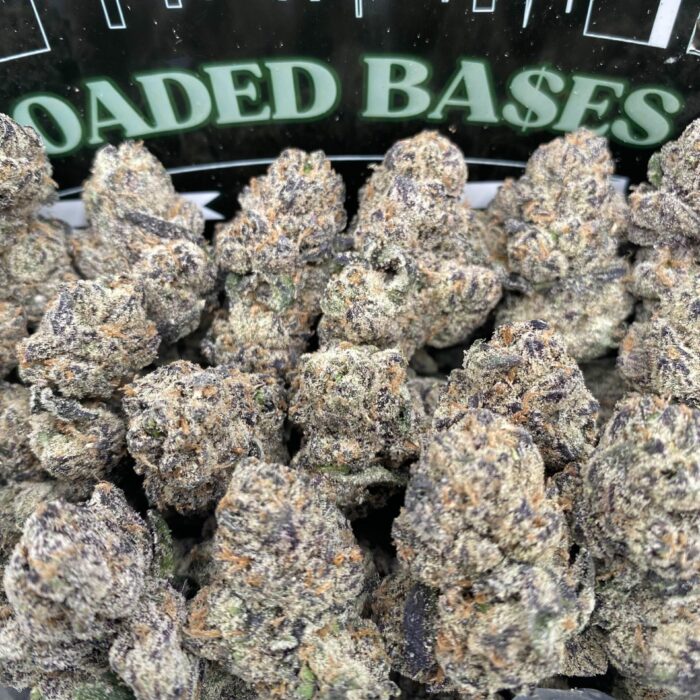 Rainbow Gelato cannabis flower with colorful buds