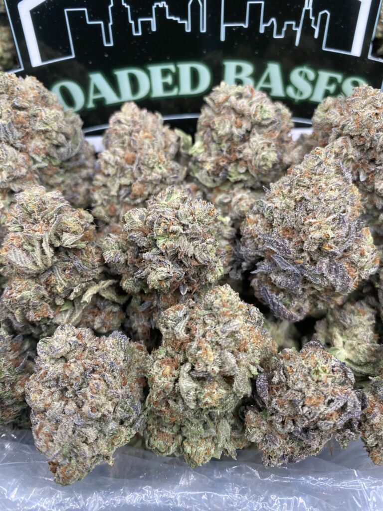 Rainbow Sherbert strain cannabis buds with fruity dessert-like aroma