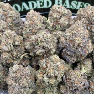 Rainbow Sherbert strain cannabis buds with fruity dessert-like aroma