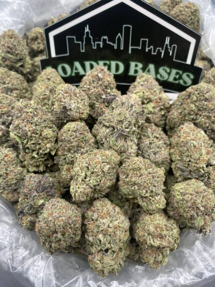 Sundae Float cannabis strain with creamy vanilla and berry aroma