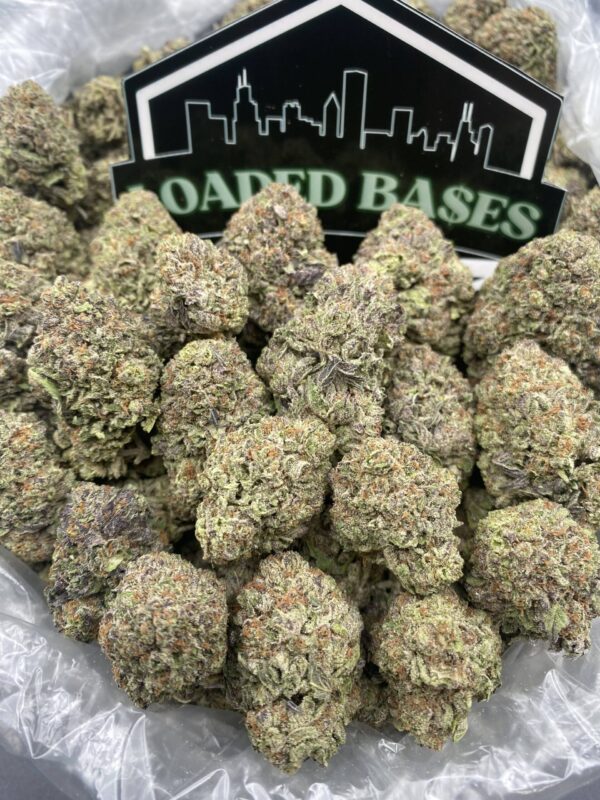 Sundae Float cannabis strain with creamy vanilla and berry aroma