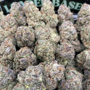 ropical Sherbert strain buds with creamy vanilla sherbet and tropical fruit tones