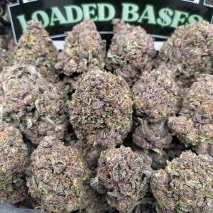 Tropicana Blast hybrid cannabis flower with citrus aroma and frosty trichomes