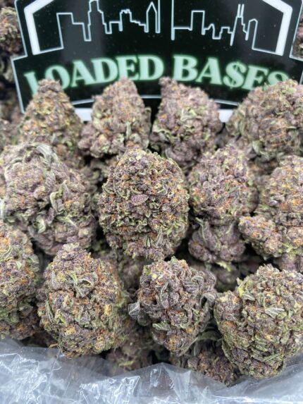 Tropicana Blast hybrid cannabis flower with citrus aroma and frosty trichomes