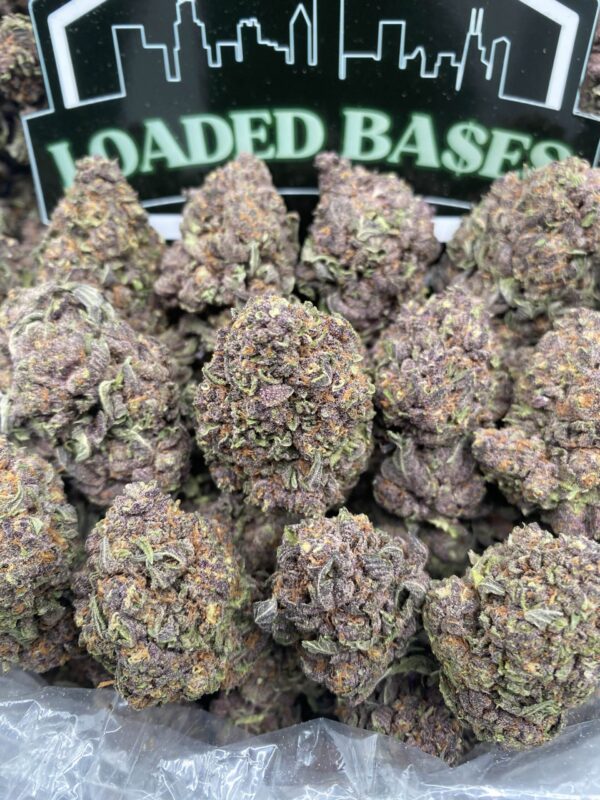 Tropicana Blast hybrid cannabis flower with citrus aroma and frosty trichomes