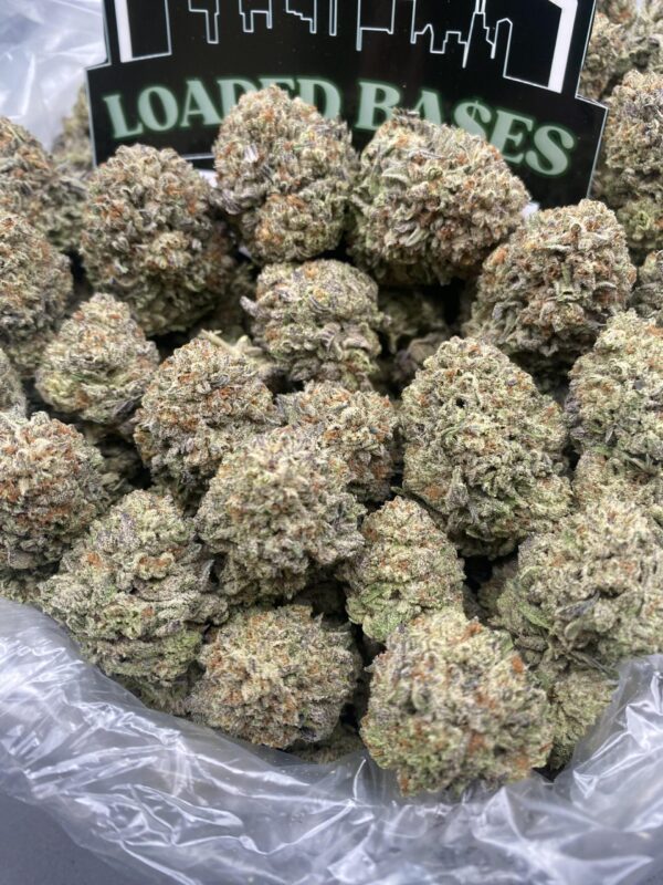 Truffle Cake hybrid cannabis flower with frosty buds and dessert-like aroma