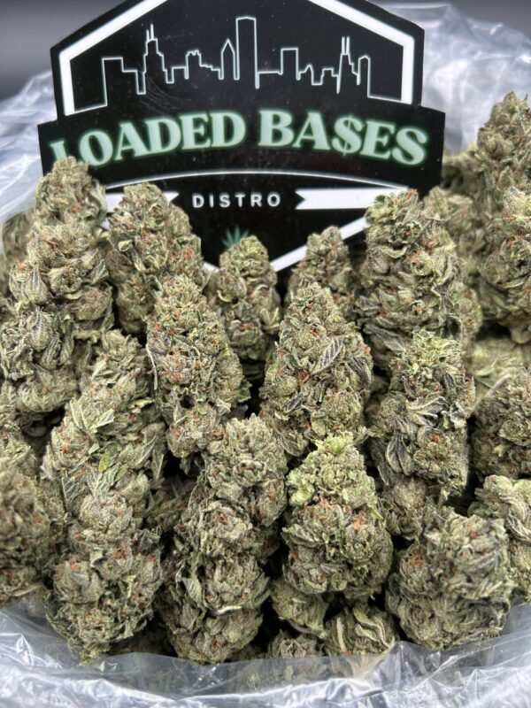 Wedding Pie cannabis flower with frosty trichomes and fruity dessert-like aroma