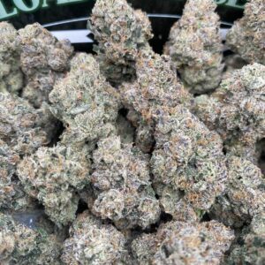 White Cherry Gelato cannabis flower with frosty trichomes and fruity aroma