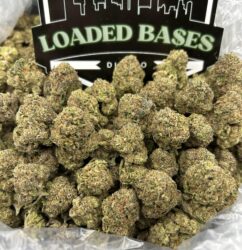 Zereal cannabis flower buds with frosty trichomes
