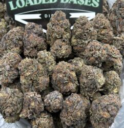 Zereal Cake cannabis flower buds with frosty trichomes and sweet dessert-like aroma