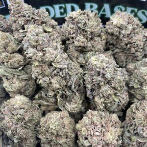 Oreo Shake cannabis flower – premium hybrid strain with creamy flavor and frosty buds