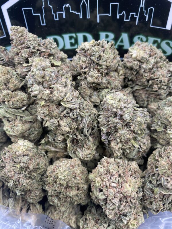 Oreo Shake cannabis flower – premium hybrid strain with creamy flavor and frosty buds